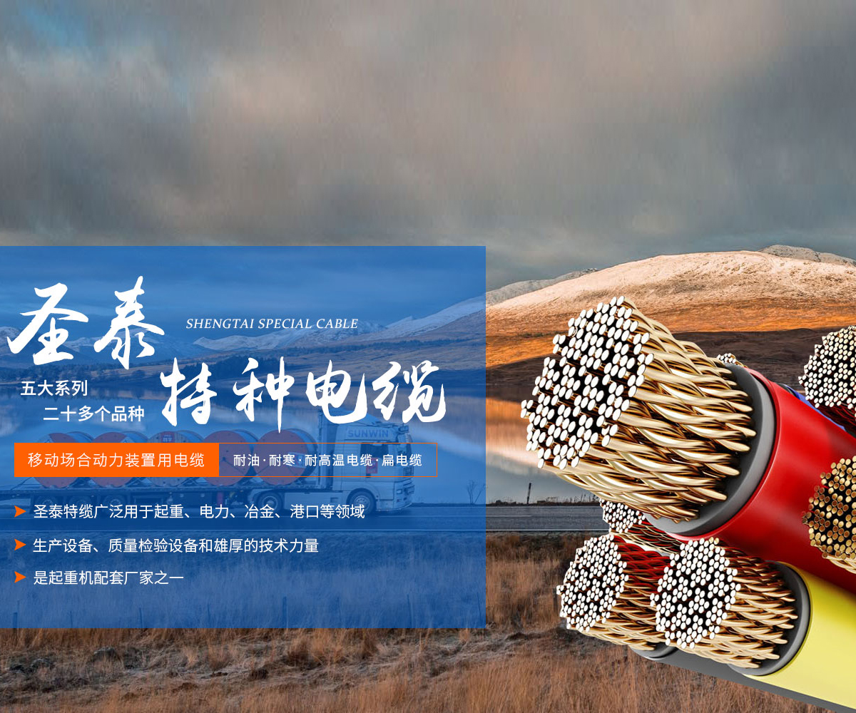 河南省圣泰特种电缆有限公司